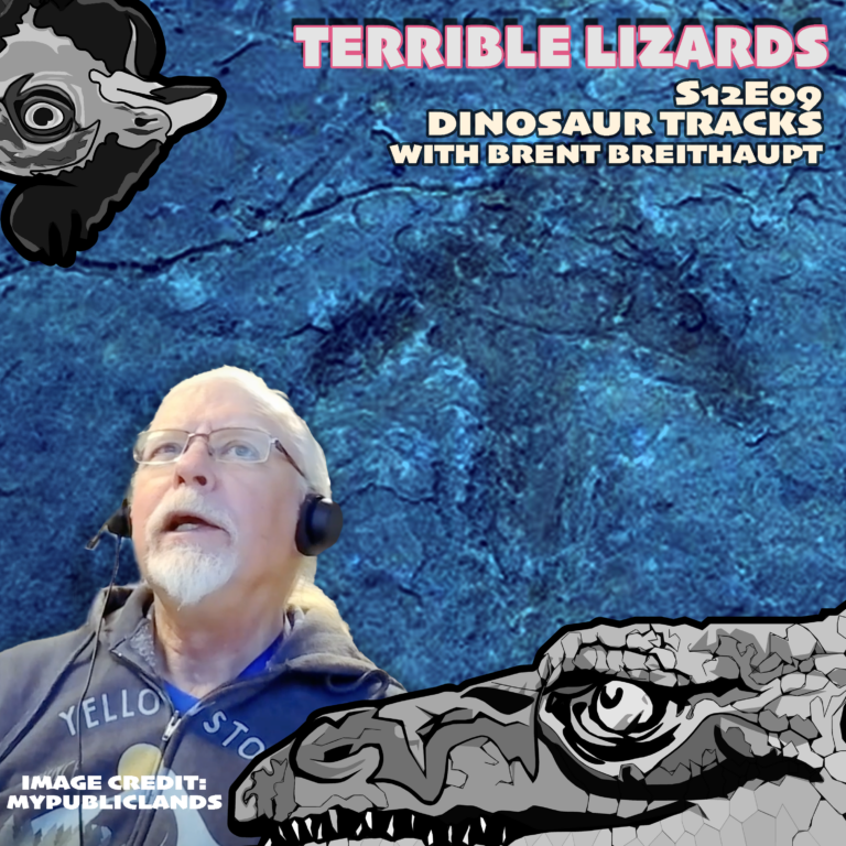 TLS12E09 Dinosaur Tracks and photogrammetry